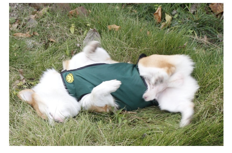 Comfort Fit Belly Protection Band